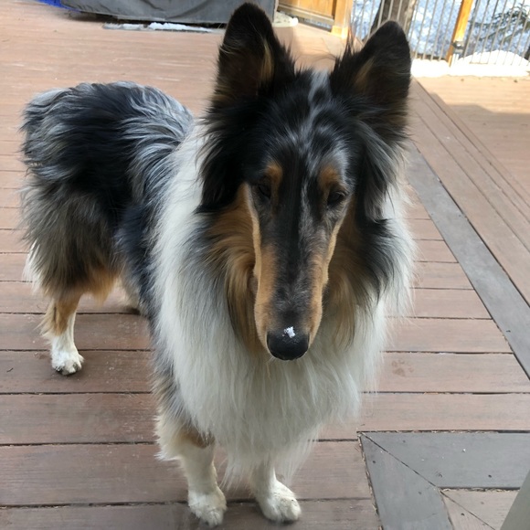 Meet The Posher - Picture 1 of 1